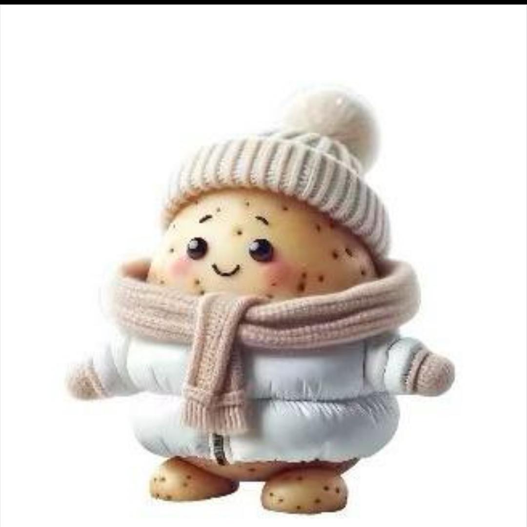 哈尔滨金豆羽绒服租赁