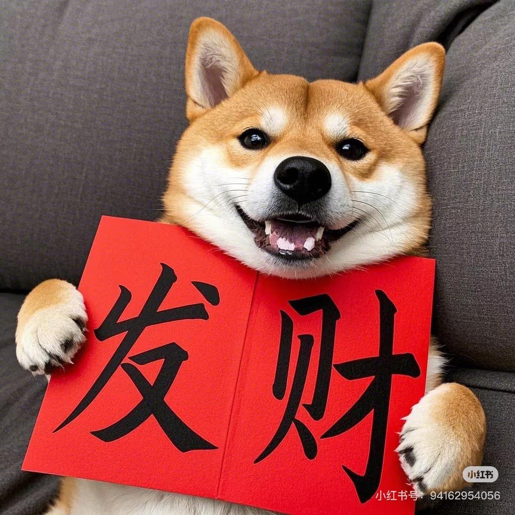 （曹班长）帮你淘爱犬