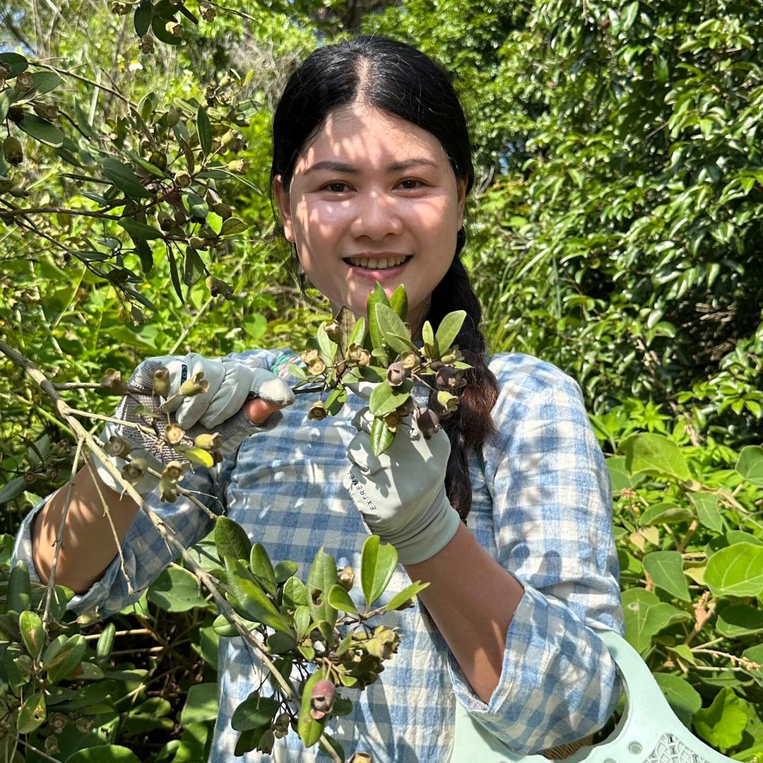 草莓🍓村菇