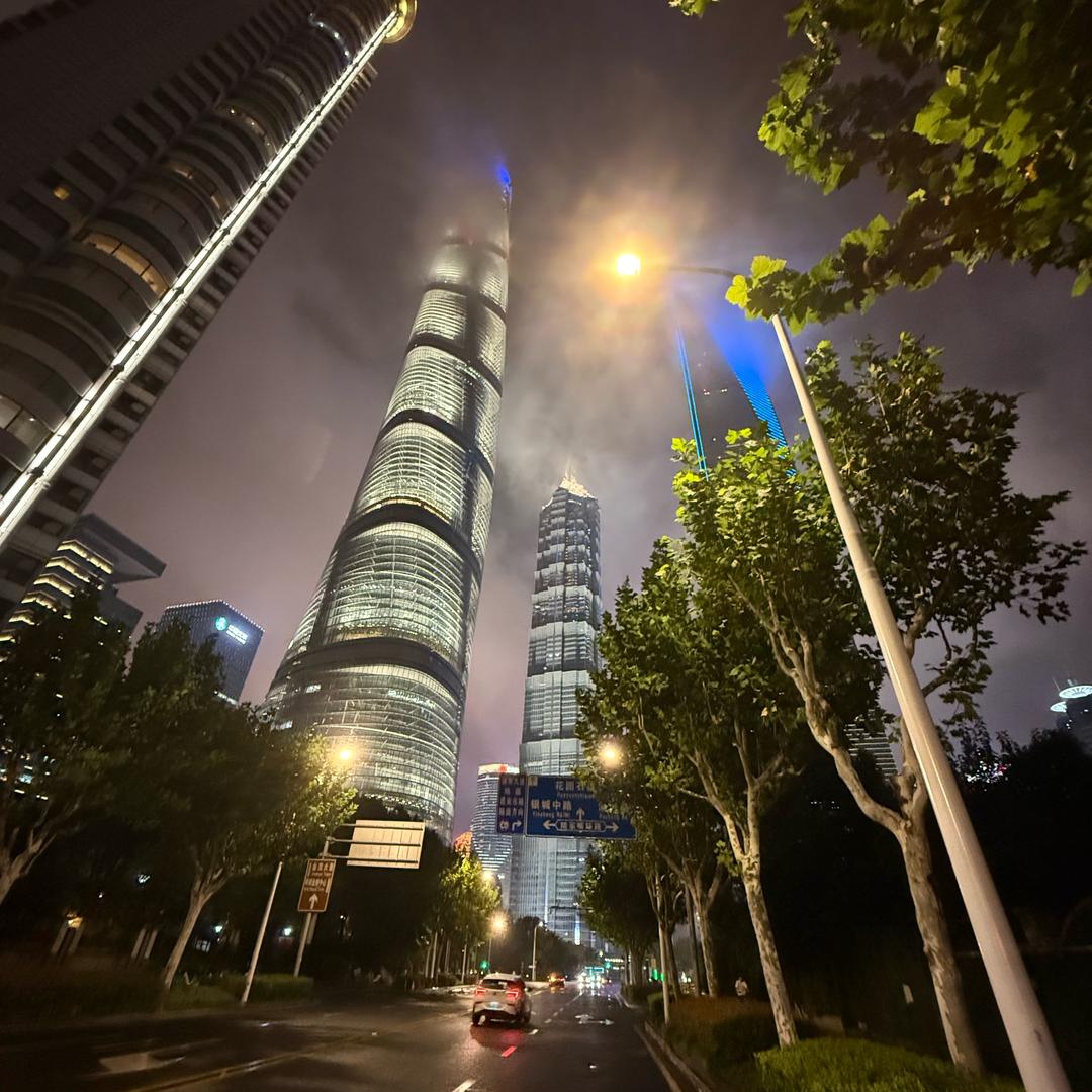 一叶　          　　༽