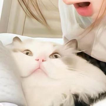 睡觉