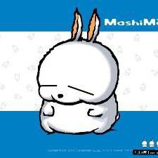 MashiMaro抱朴专卖店