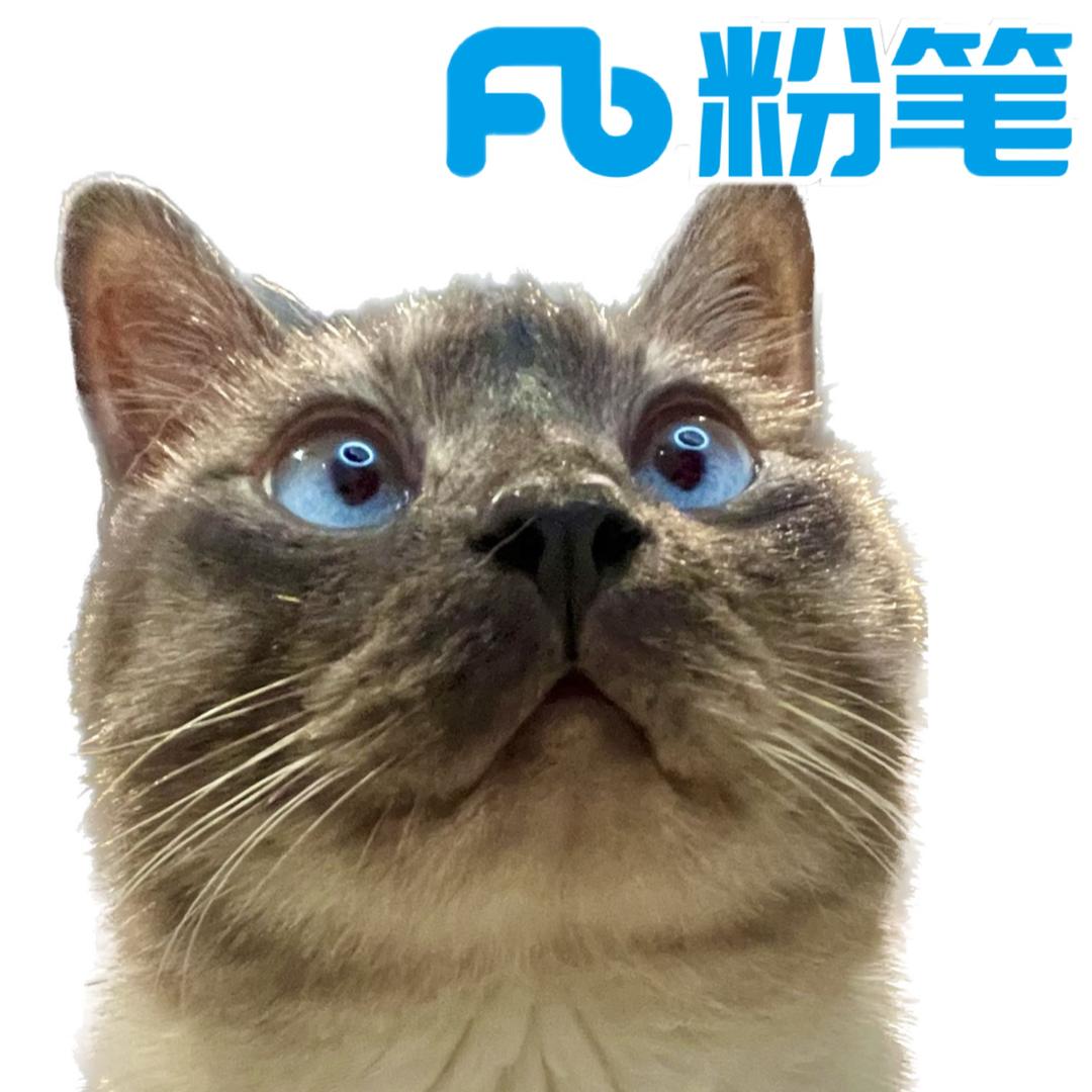 吉林粉笔-小沙拉