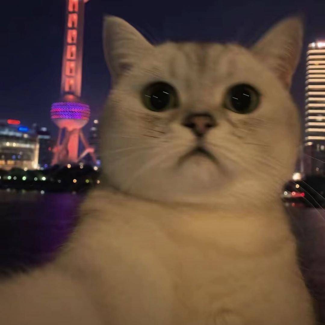 七七九九