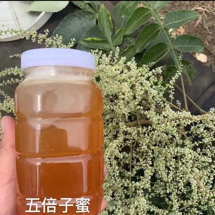 养蜂人家