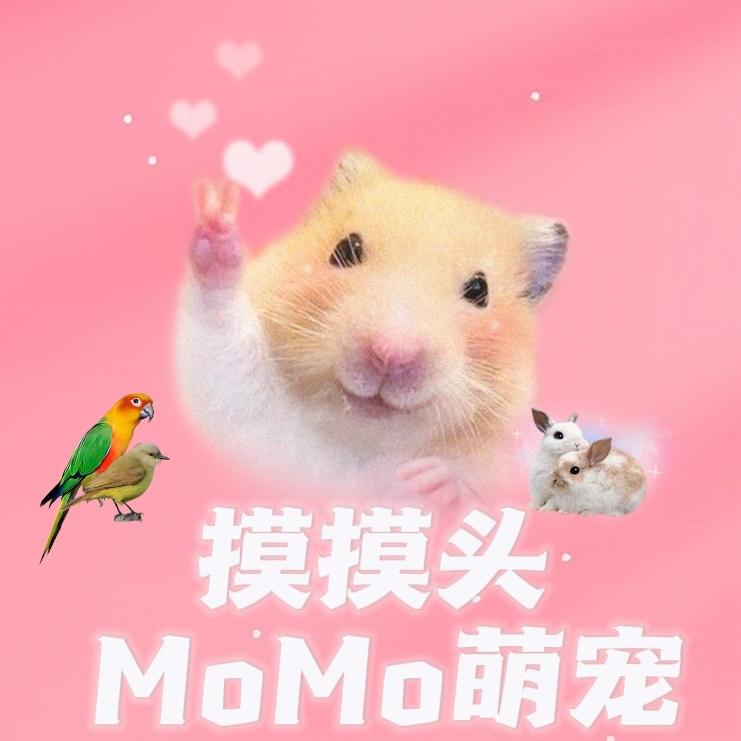 MoMo萌宠
