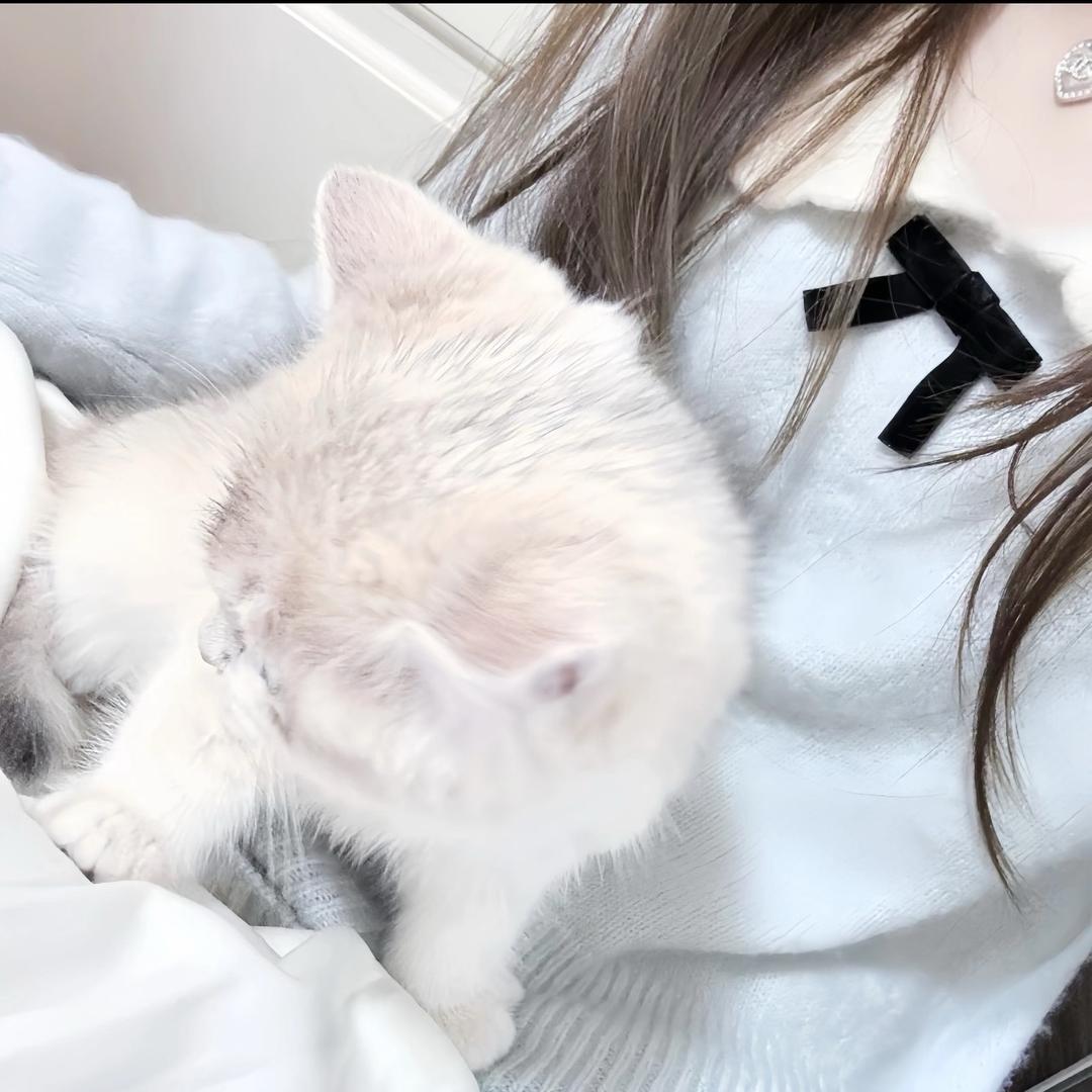 邪恶漫漫子