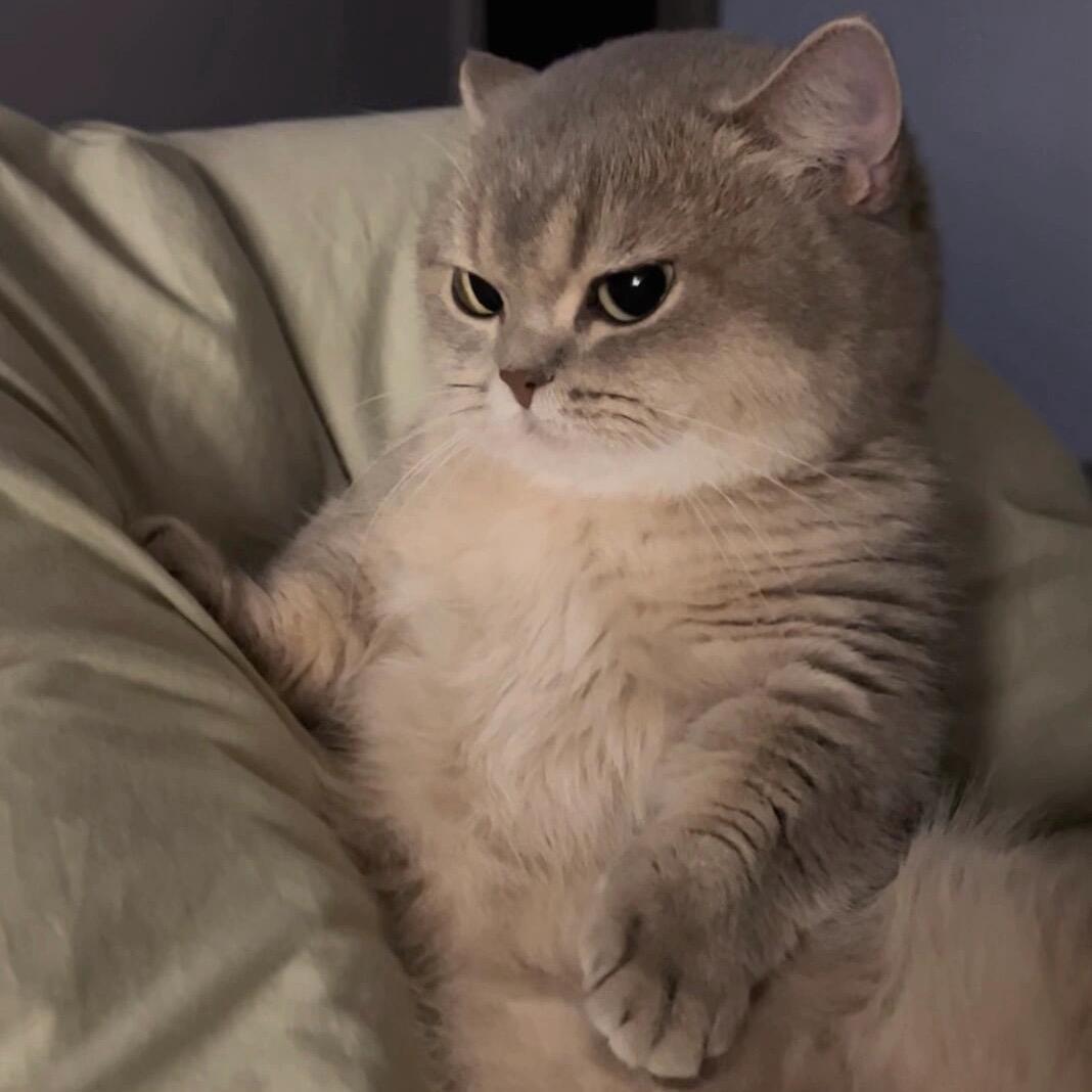 zzzzzzzz