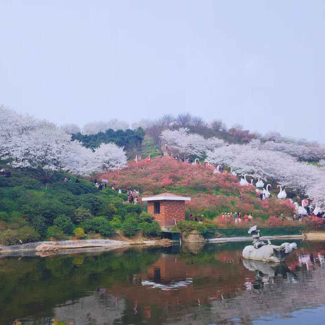 拾壹号
