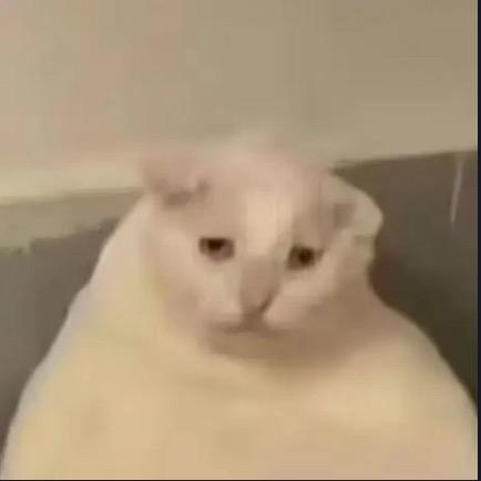 emo什么你就emo