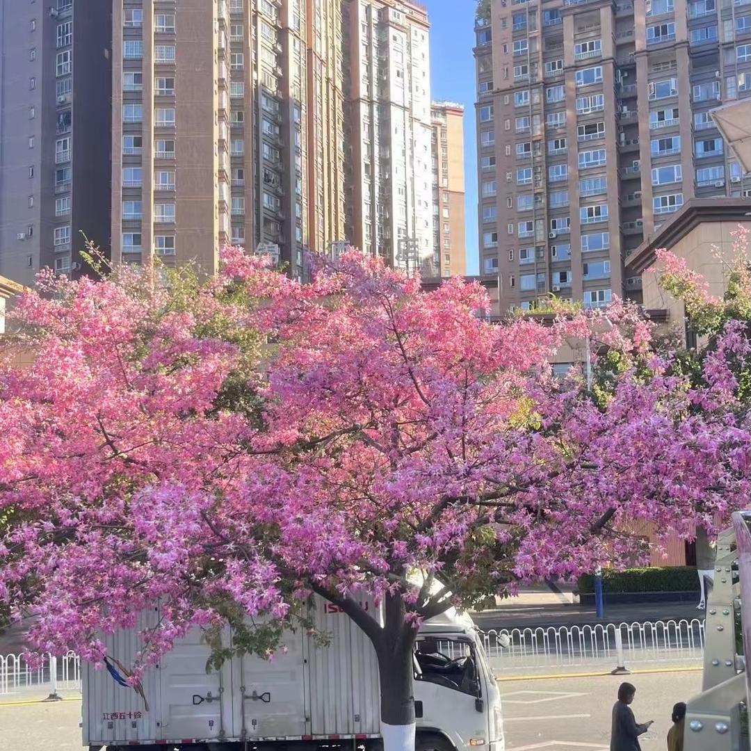 没有一米六