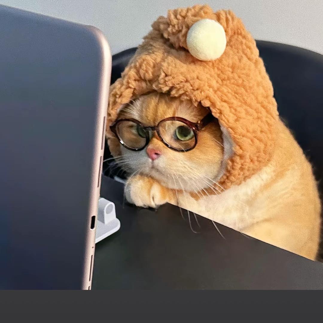 恭礼