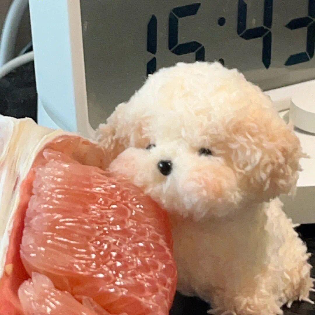 小郑今天瘦了吗？
