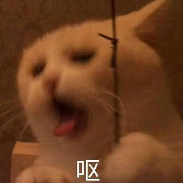 小白.