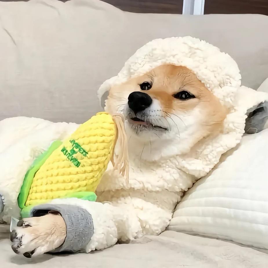 南离