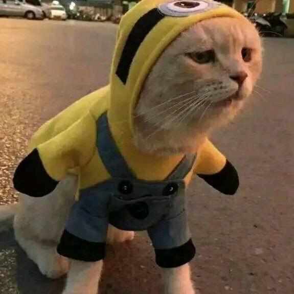 伍爷电影(收徒）@抖音