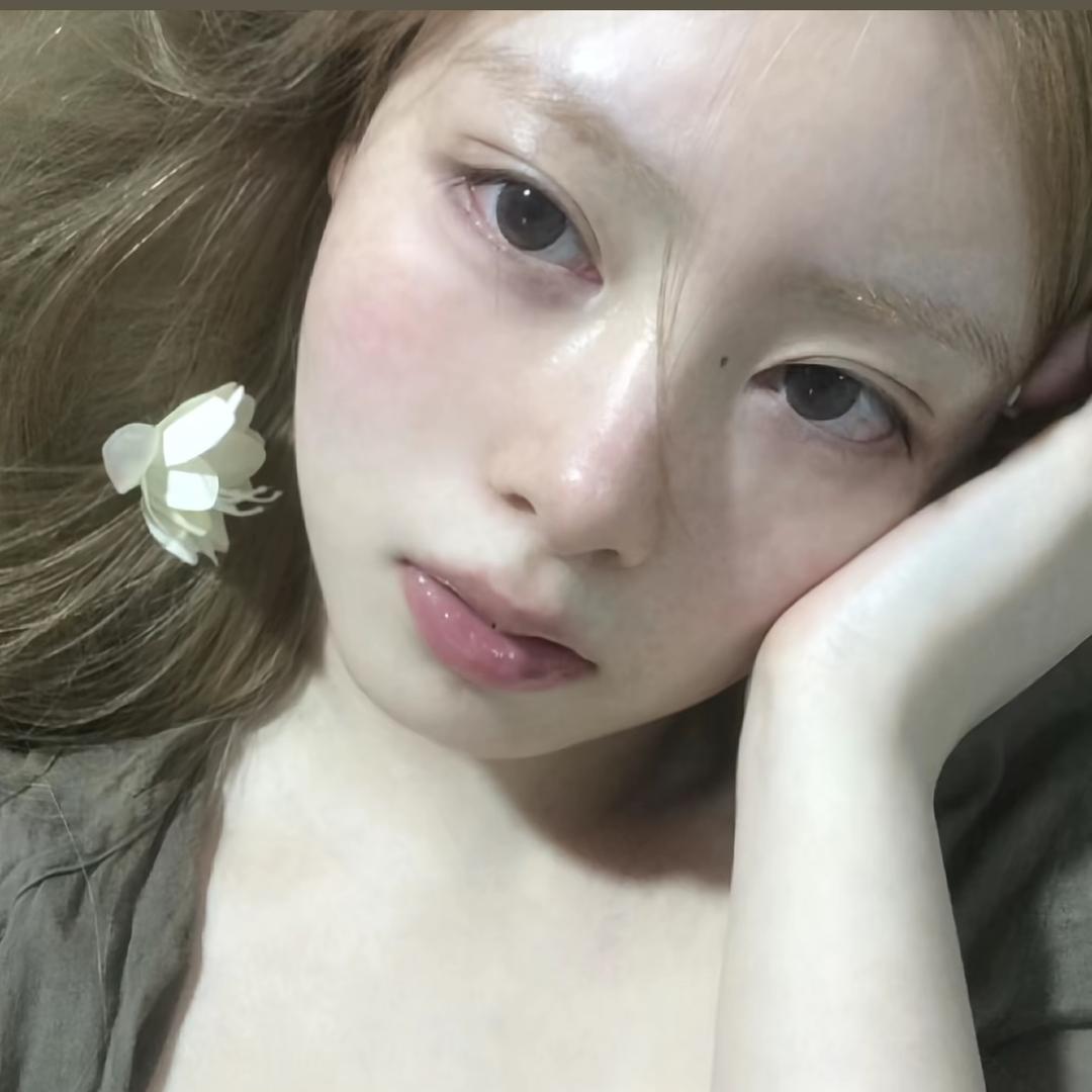懒猫