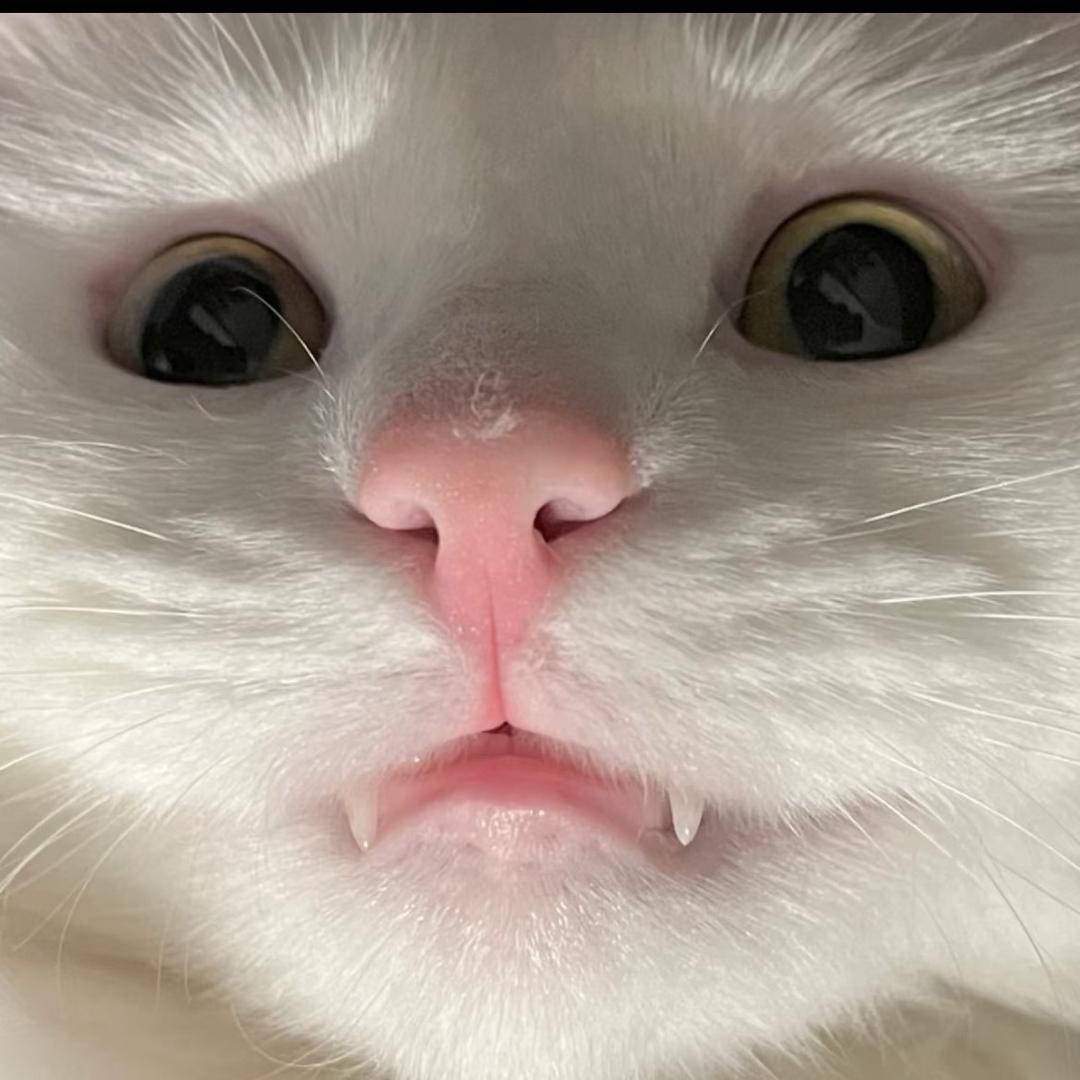 用户虎牙