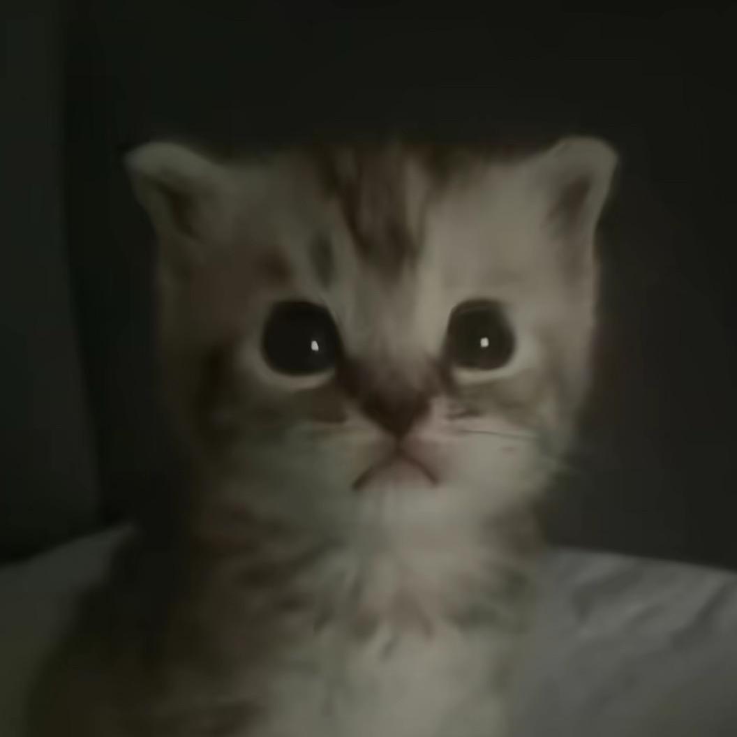 ……