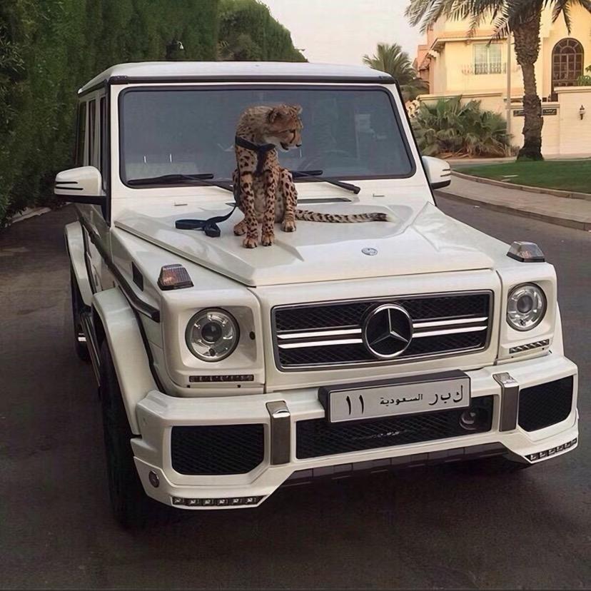 西南半价🚗