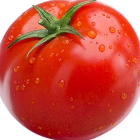 蛋子大人好物推荐