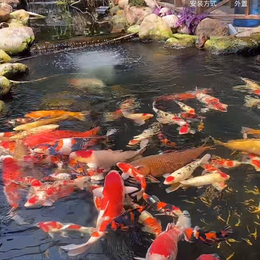 @小满 乡村生活