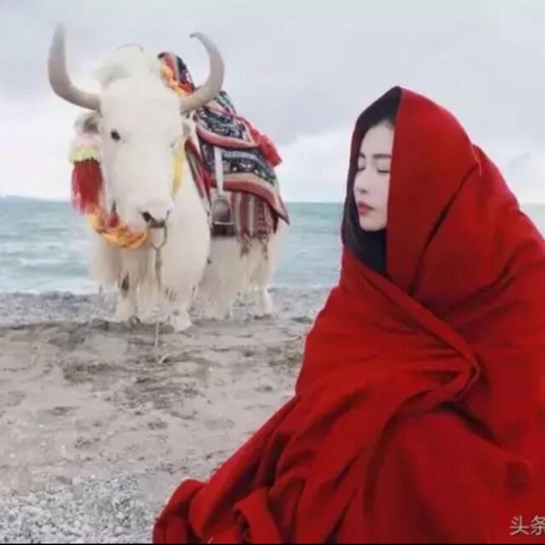 宝 儿໌🧸