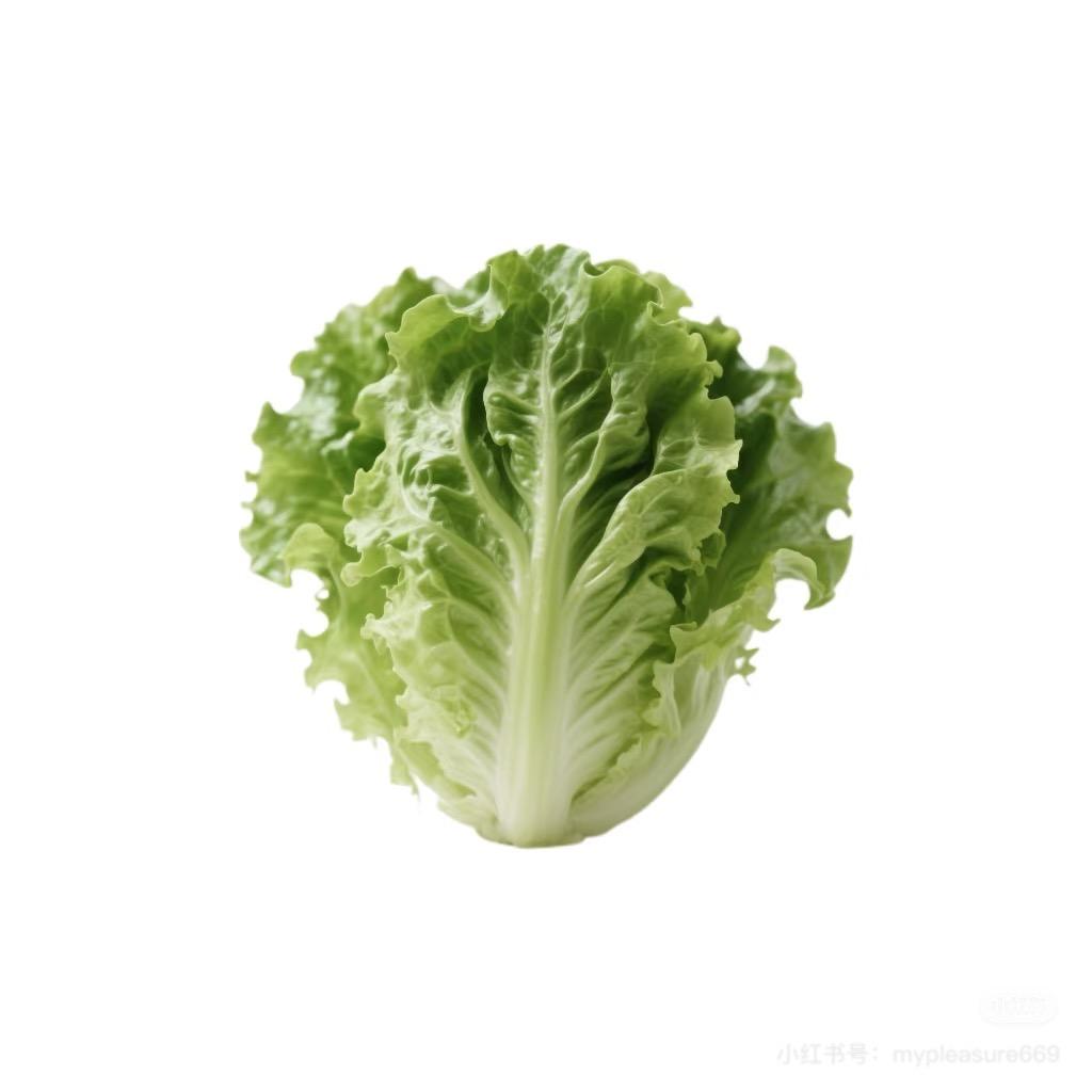 🐰小妮在˗ˋˏ♡ˎˊ˗