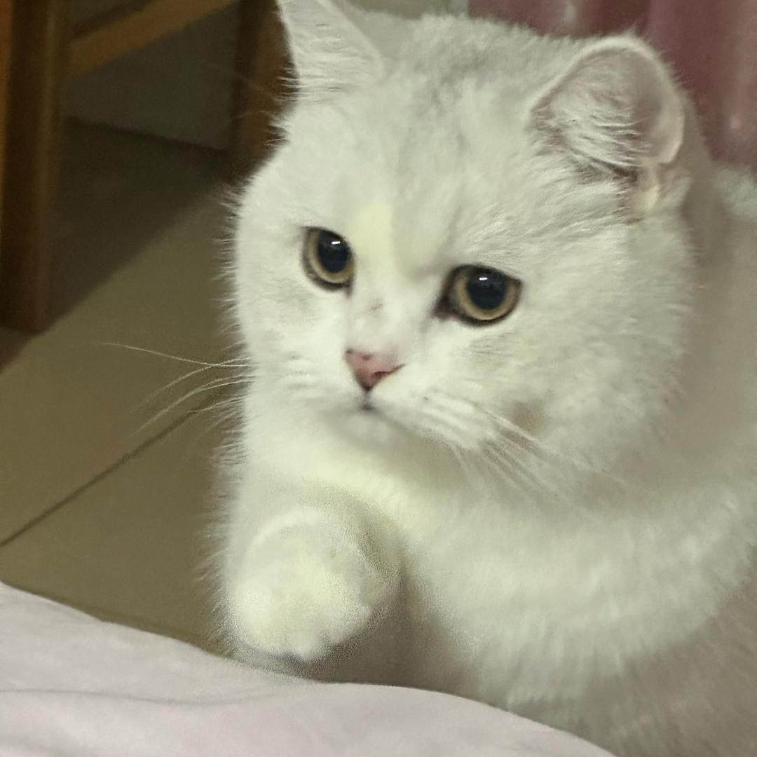 兜子爱吃饭