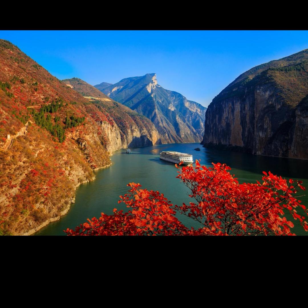 红梅花开