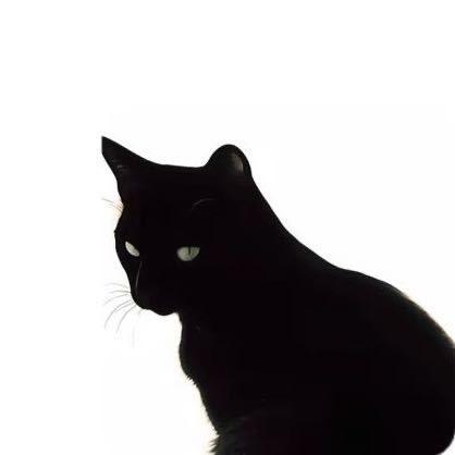 Кот.