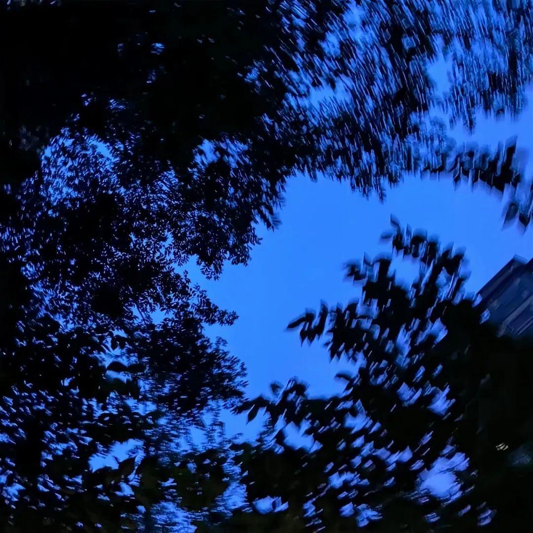 ෆ小魚冻干❤️