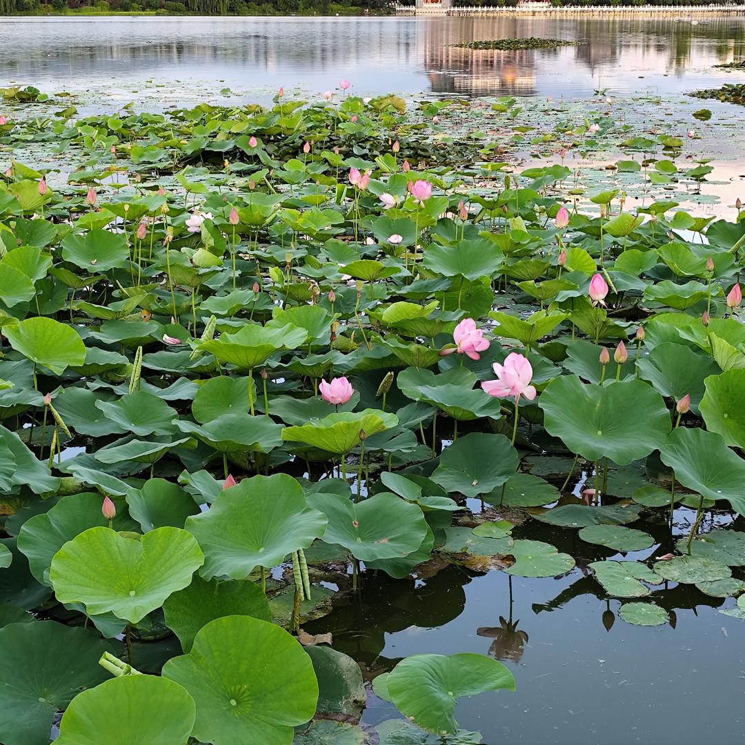 福翠颖百货创意屋