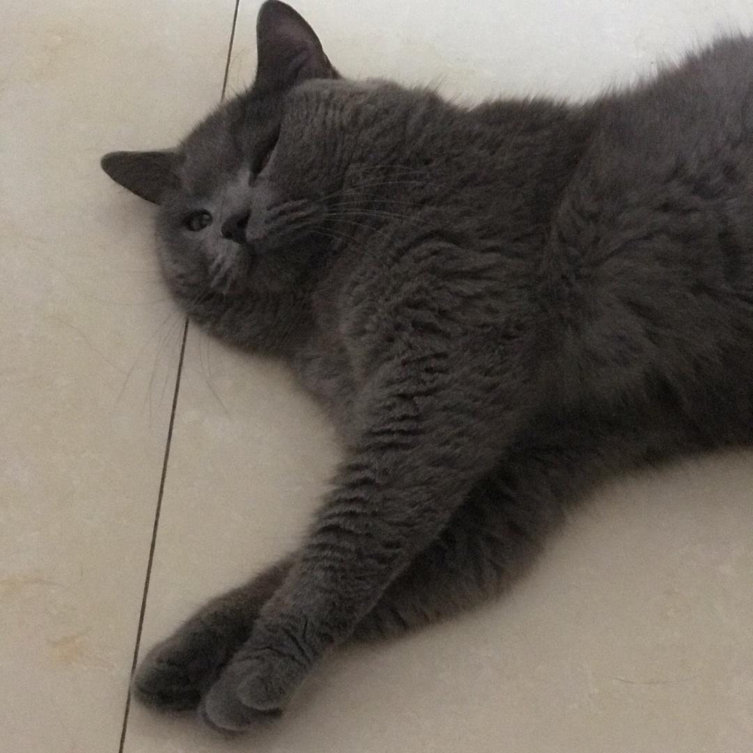 大嘴哥袁