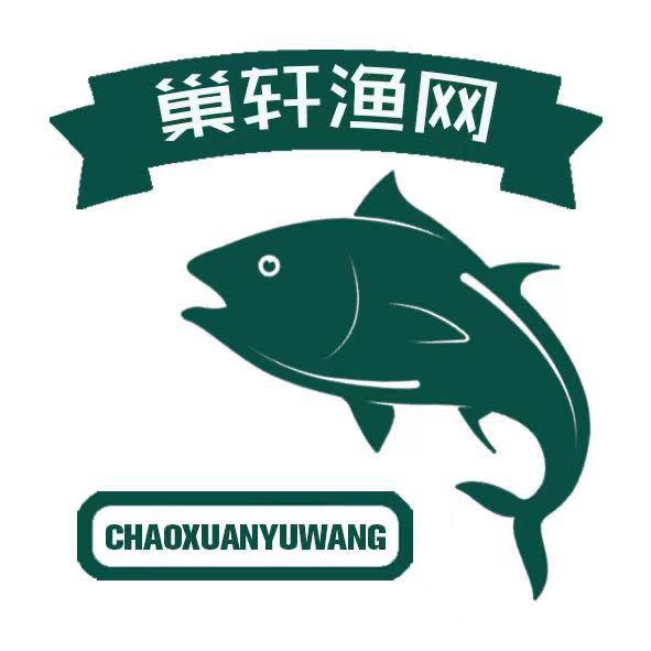 巢湖巢轩渔网