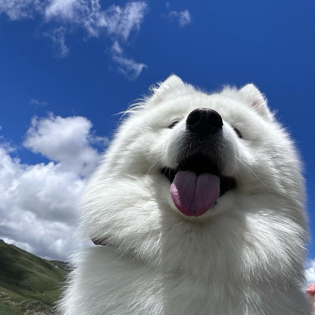 爱吃糯米～
