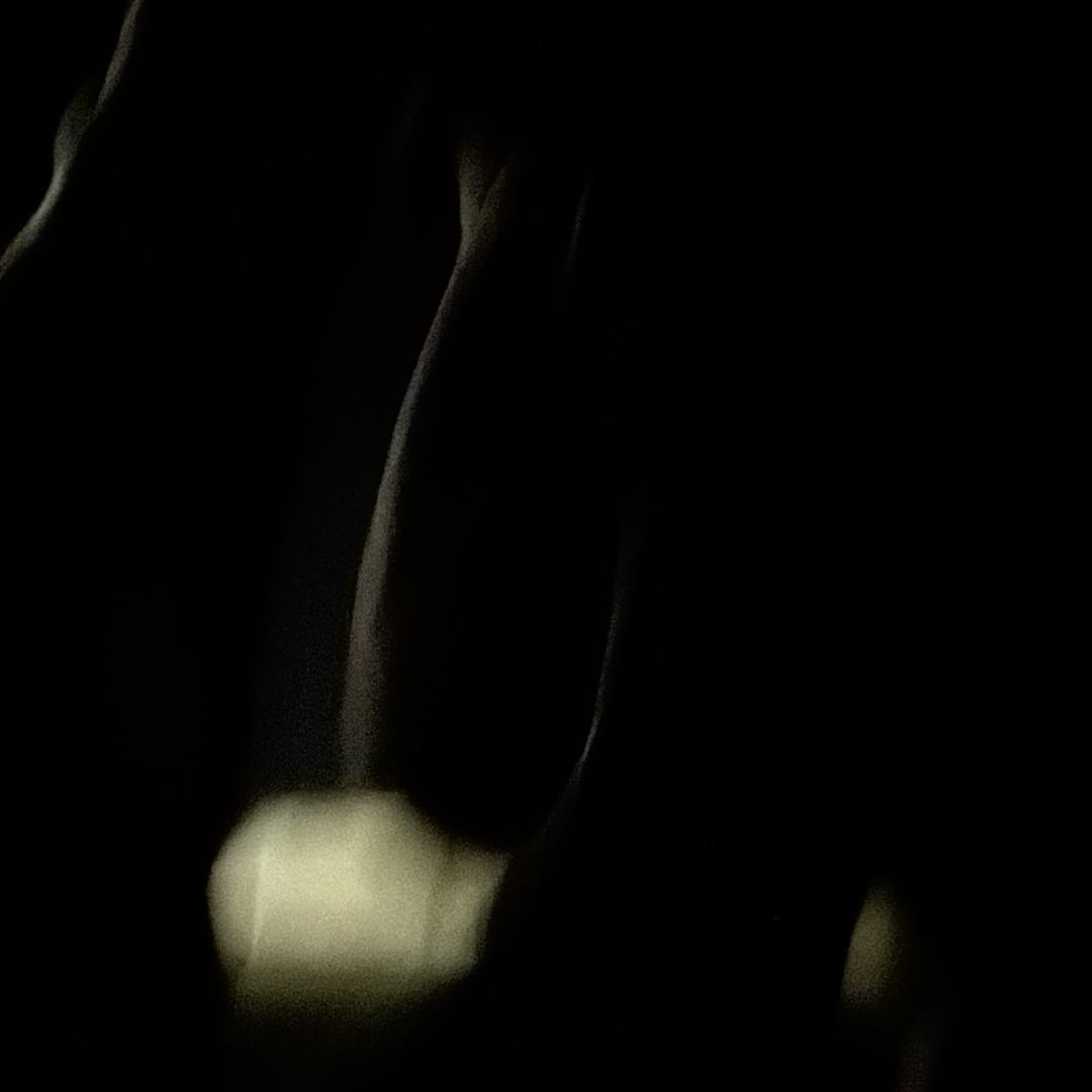 少爷今天赚了没