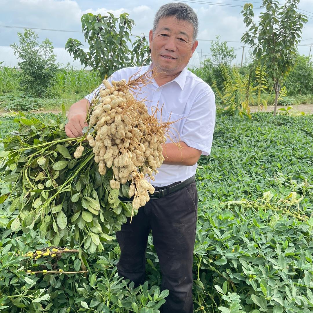 代兴种业有限公司