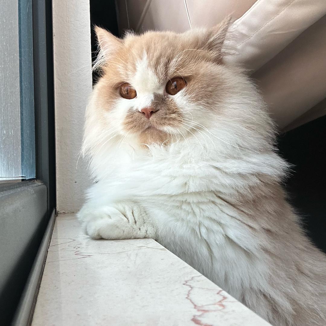 你让我拿什么荔枝！