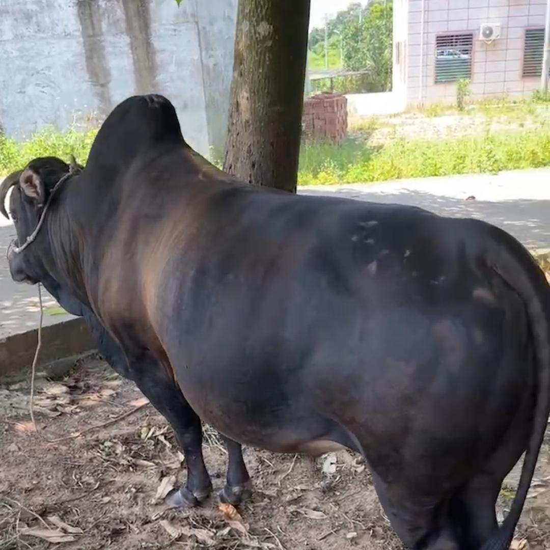 农民👩‍🌾