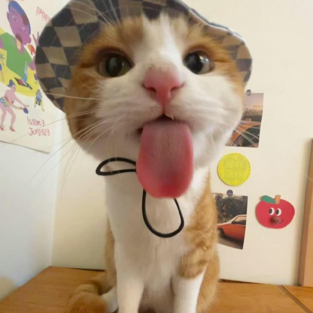 一百岁性感大母猴正在窜稀