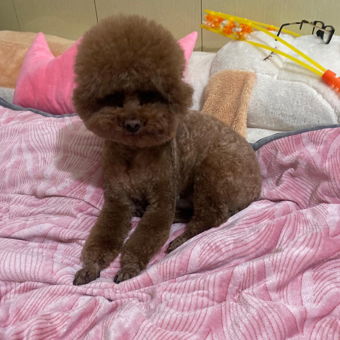 🍓莓🈶️烦恼😄