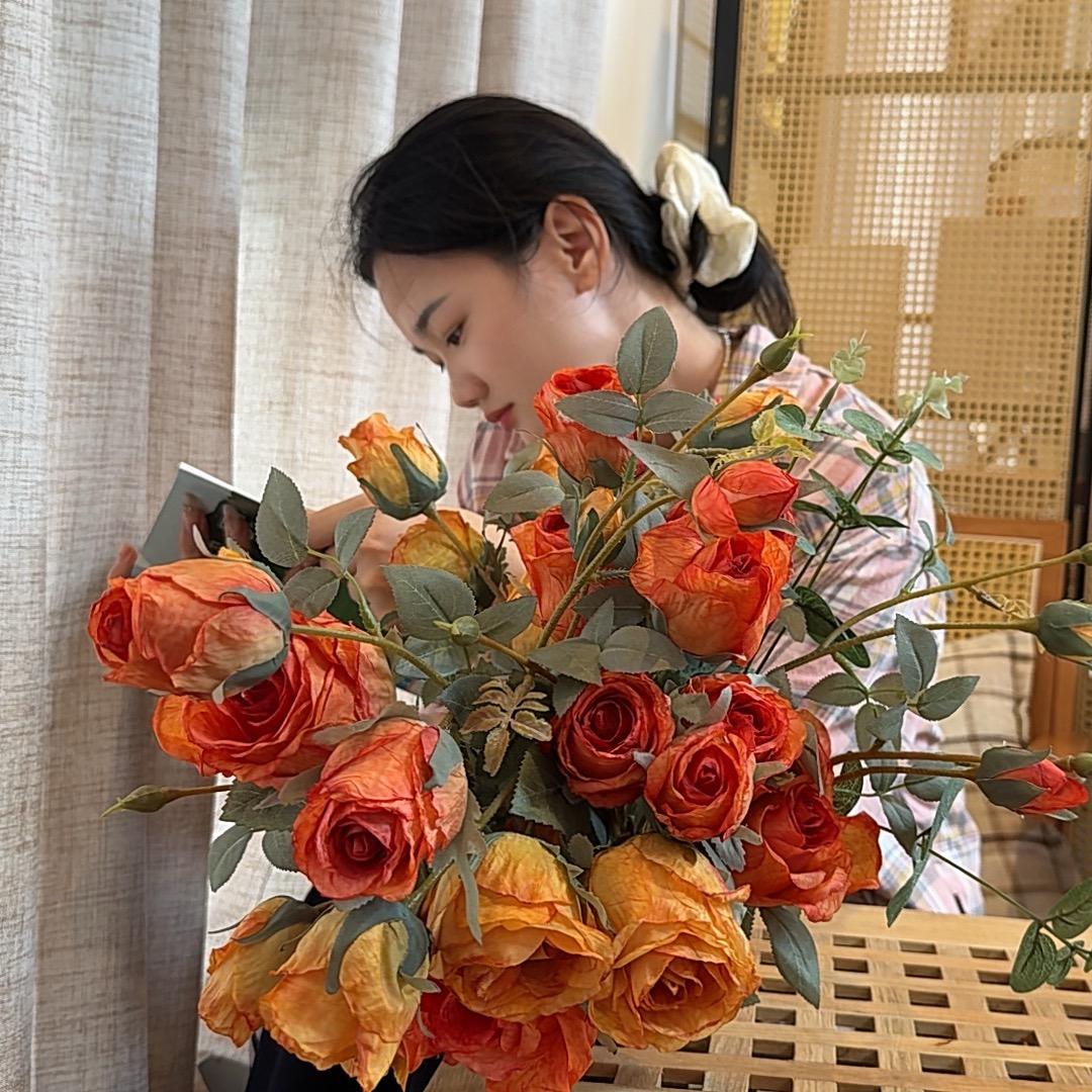 杨萝莉