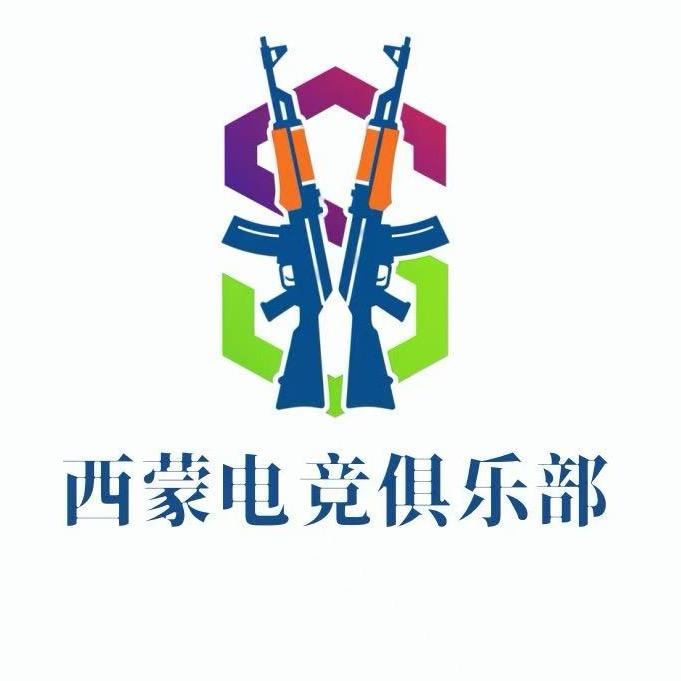 西蒙电竞（三角洲行动）