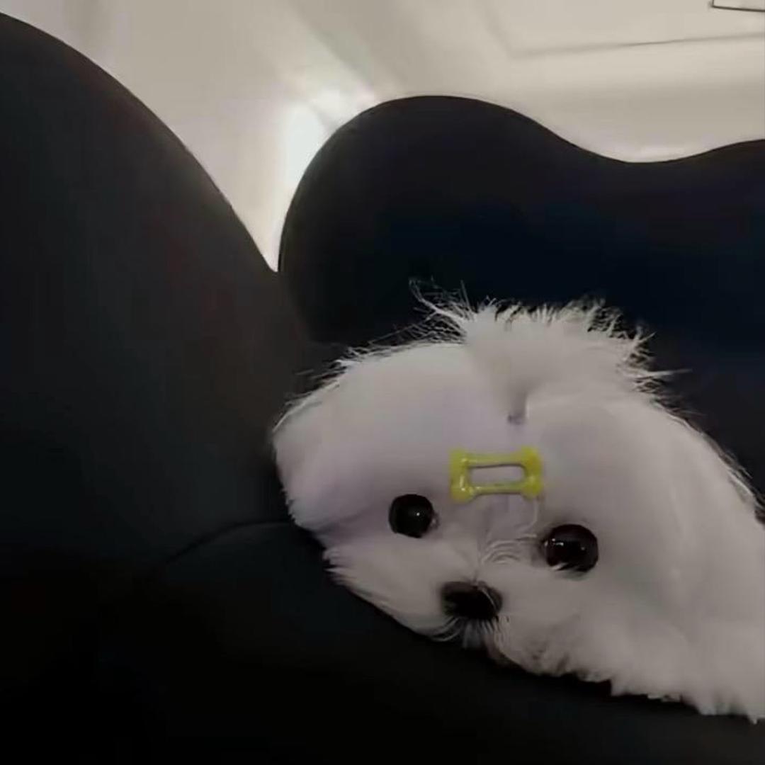 我从来不熬夜