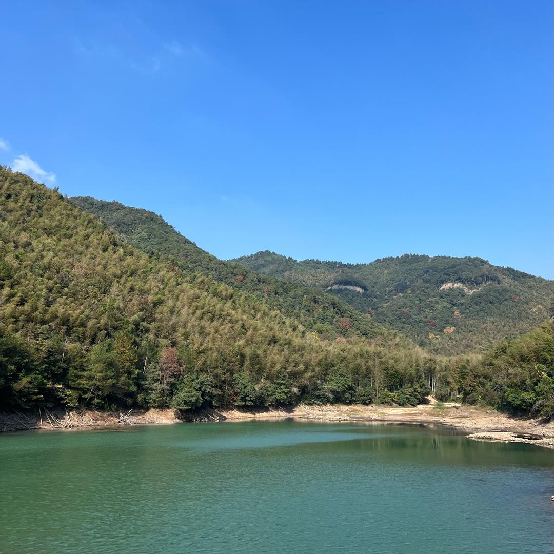 岁安常乐