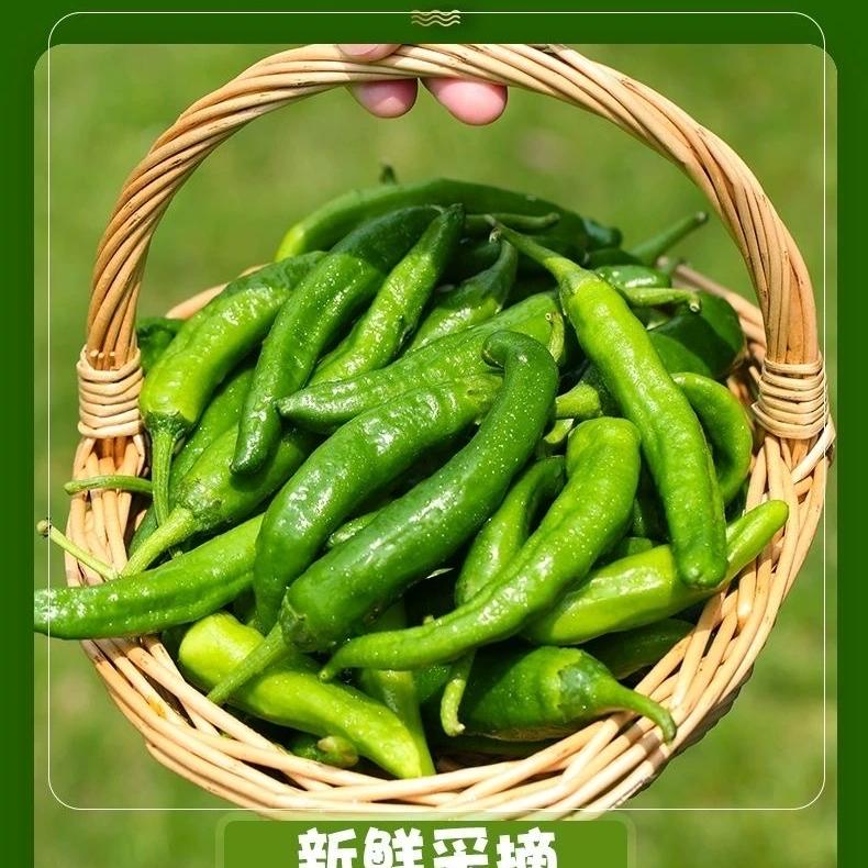 长沙市雨花区申嘉百货商行