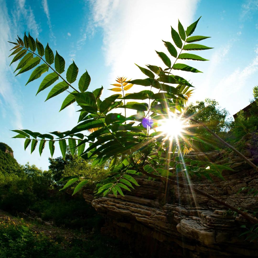 红河漂流，超市，民宿