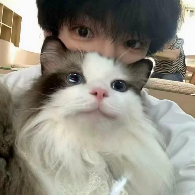 海岸y
