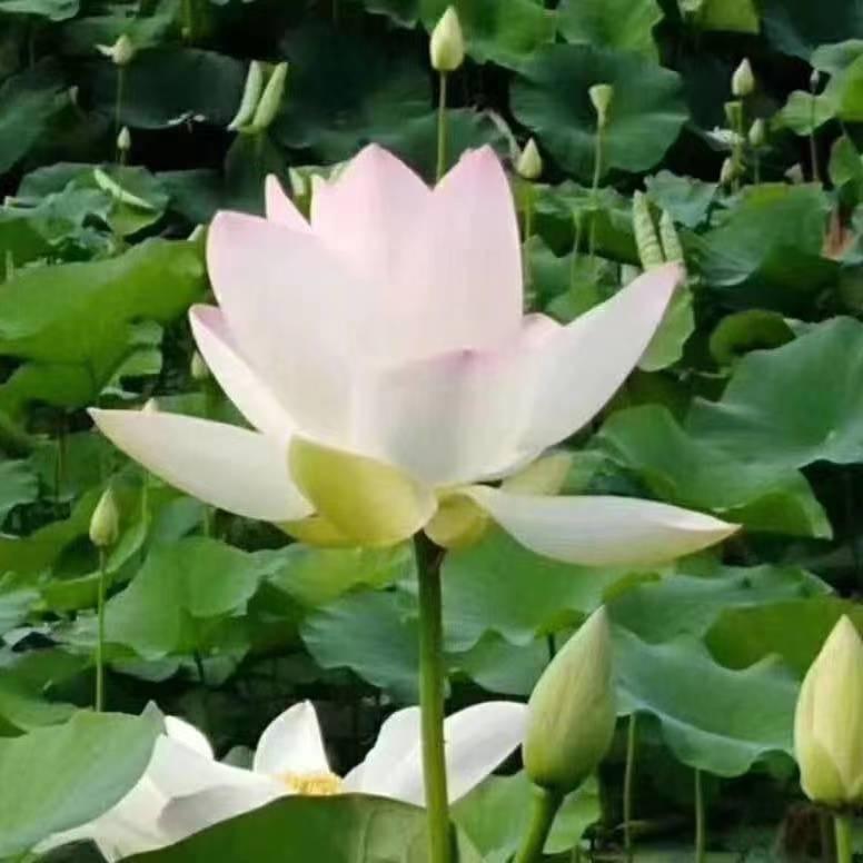 新人互关😘😘